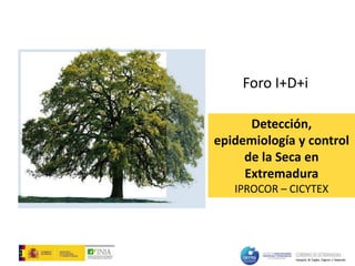 Detección,
epidemiología y control
de la Seca en
Extremadura
IPROCOR – CICYTEX
Foro I+D+i
 