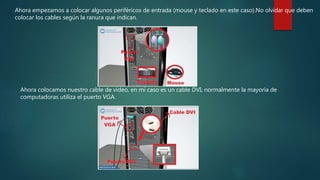 Ahora empezamos a colocar algunos periféricos de entrada (mouse y teclado en este caso).No olvidar que deben
colocar los cables según la ranura que indican.
Ahora colocamos nuestro cable de video, en mi caso es un cable DVI, normalmente la mayoría de
computadoras utiliza el puerto VGA.
 