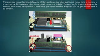 Ahora vamos a colocar la memoria RAM, no olviden que tienen que saber que tipo de ranura tiene su memoria y
la cantidad de BUS necesaria, sino su computadora no va a trabajar. Entonces según la ranura ubicamos la
memoria en el puerto de expansión, la insertamos, por ultimo debemos asegurarla con los ganchos que tiene a
los extremos.
 