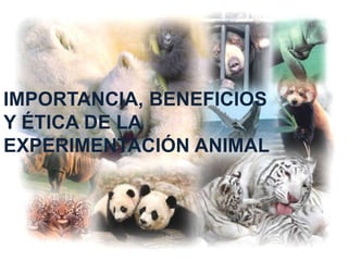 IMPORTANCIA, BENEFICIOS
Y ÉTICA DE LA
EXPERIMENTACIÓN ANIMAL
 