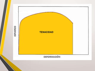 TENACIDAD
 