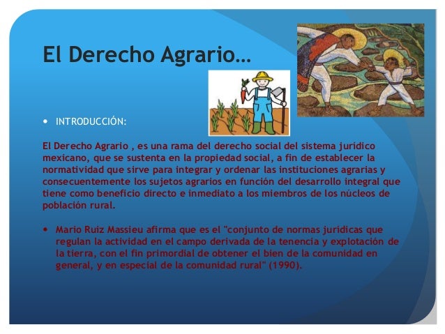 LA IMPORTANCIA DEL DERECHO AGRARIO EN NUESTRO PAIS Y EN EL ESTUDIO DE…