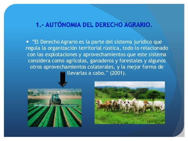 LA IMPORTANCIA DEL DERECHO AGRARIO EN NUESTRO PAIS Y EN EL ESTUDIO DE…