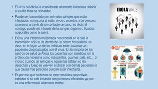 • El virus del ébola es considerada altamente infecciosa debido 
a su alta tasa de mortalidad. 
• Puede ser transmitido por anímales salvajes que están 
infectados, no importa si están vivos o muertos, o de persona 
a persona a través de un contacto cercano, es decir; el 
contagio puede ser a través de la sangre, órganos o líquidos 
corporales como la saliva. 
• Existe una transmisión llamada nosocomial en la cual la 
transmisión solo se da dentro de un centro hospitalario, es 
decir, en el lugar donde los médicos estén tratando con 
pacientes diagnosticados con el virus. En la mayoría de los 
centros de salud de África los pacientes son atendidos sin la 
protección necesaria como mascarillas, guantes, bata, etc… o 
incluso cuando las jeringas o agujas las utilizan no las 
desechan y luego se vuelven a utilizar con demás pacientes lo 
que causa más personas puedan estar infectadas. 
• Es por eso que se deben de tener medidas preventivas 
estrictas si se está tratando con personas infectadas ya que 
es una enfermedad altamente mortal. 
 