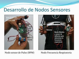Desarrollo de Nodos Sensores

Nodo sensor de Pulso (BPM)

Nodo Frecuencia Respiratoria

 