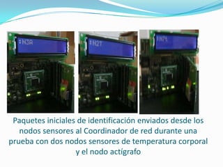 Paquetes iniciales de identificación enviados desde los
nodos sensores al Coordinador de red durante una
prueba con dos nodos sensores de temperatura corporal
y el nodo actígrafo

 