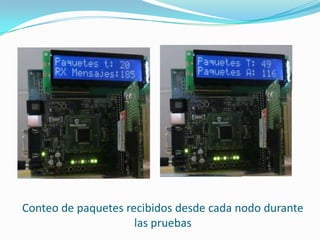 Conteo de paquetes recibidos desde cada nodo durante
las pruebas

 