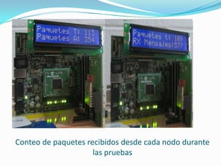 Conteo de paquetes recibidos desde cada nodo durante
las pruebas

 