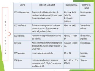 c
l
a
s
i
f
i
c
a
c
i
ó
n
 