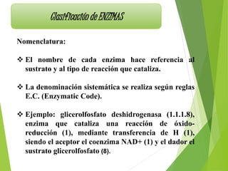 Clasificación de ENZIMAS
Nomenclatura:
 El nombre de cada enzima hace referencia al
sustrato y al tipo de reacción que cataliza.
 La denominación sistemática se realiza según reglas
E.C. (Enzymatic Code).
 Ejemplo: glicerolfosfato deshidrogenasa (1.1.1.8),
enzima que cataliza una reacción de óxido-
reducción (1), mediante transferencia de H (1),
siendo el aceptor el coenzima NAD+ (1) y el dador el
sustrato glicerolfosfato (8).
 
