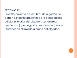 PECTINASASEn el tratamiento de las fibras de algodón, sedeben extraer las pectinas de la pared de lascélulas primarias del algodón. Las enzimaspectinasas (que degradan esta sustancia) sonutilizadas en el lavado alcalino del algodón.