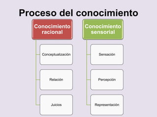 Proceso del conocimiento
Conocimiento
racional
Conceptualización
Relación
Juicios
Conocimiento
sensorial
Sensación
Percepción
Representación
 