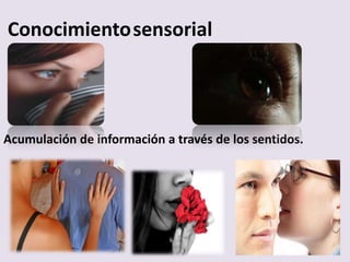 Conocimientosensorial
Acumulación de información a través de los sentidos.
 