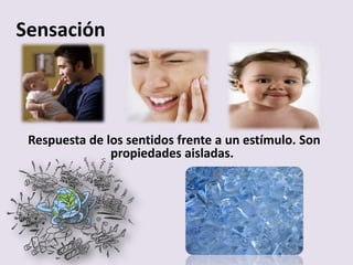 Sensación
Respuesta de los sentidos frente a un estímulo. Son
propiedades aisladas.
 