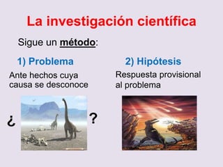La investigación científica
Sigue un método:
1) Problema 2) Hipótesis
Ante hechos cuya
causa se desconoce
Respuesta provisional
al problema
?¿
 