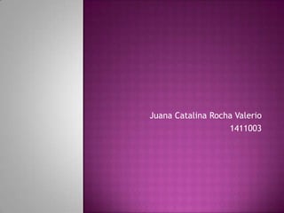 Juana Catalina Rocha Valerio
                   1411003
 