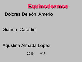 Dolores Deleón Amerio
Gianna Carattini
Agustina Almada López
2016 4° A
EquinodermosEquinodermos
 