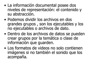 La información documental posee dos niveles de representación: el contenido y su abstracción. Podemos dividir los archivos en dos grandes grupos , son los ejecutables y los no ejecutables o archivos de dato. Dentro de los archivos de datos se pueden crear grupos por la temática o clase de información que guarden. Los formatos de videos no solo contienen imágenes si no también el sonido que los acompaña. 