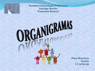 Instituto Universitario Politécnico
Santiago Mariño
“Extensión Barinas”
Plaza Mora Ersy
Susana
C.I 19.631.533
 