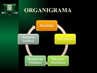 ORGANIGRAMA 