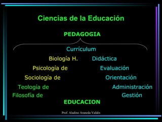 Ciencias de la Educación EDUCACION Filosofía de Teología de Sociología de Psicología de Biología H. Currículum Didáctica Orientación Administración Evaluación Gestión PEDAGOGIA 
