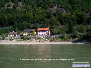 P ueblecitos cultivan uvas, a lo lar de las márgenes del ro.
                                    go                    í
 