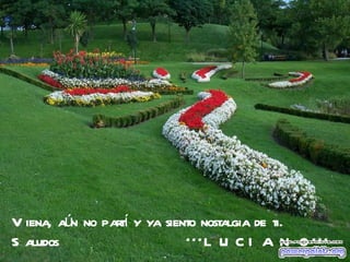 V iena, aún no parí y ya siento nostalgia de ti.
                  t
S aludos                     ***L U C I A N O ***
 