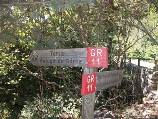 TIPOS DE SEÑALESDE ADVERTENCIA DE PELIGRODE PRIORIDAD DE PASODE PROHIBICION O RESTRICCIONDE OBLIGACION