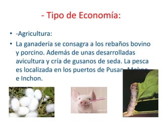 - Tipo de Economía:-Agricultura:La ganadería se consagra a los rebaños bovino y porcino. Además de unas desarrolladas avicultura y cría de gusanos de seda. La pesca es localizada en los puertos de Pusan, Mokpo e Inchon.