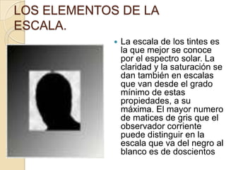 En la arquitectura la escala humana se apoya en las dimensiones y proporciones del cuerpo humano. En los espacios tridimensionales, la altura influye sobre la escala en mucho mayor grado que la anchura y la longitud, debido a que las paredes procuran encerramiento y es su altura la que nos dará la sensación de cobijo e intimidad.Algunos factores que pueden afectar la escala de un espacio son:La forma, color y clase de las paredes límites. La forma y colocación de los vanos o aberturas. La naturaleza y escala de los elementos (mobiliarios) que se colocan. 