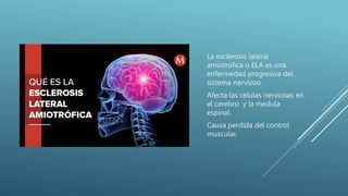 La esclerosis lateral
amiotrofica o ELA es una
enfermedad progresiva del
sistema nervioso.
Afecta las células nerviosas en
el cerebro y la medula
espinal.
Causa perdida del control
muscular.
 