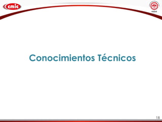 18
Conocimientos Técnicos
 