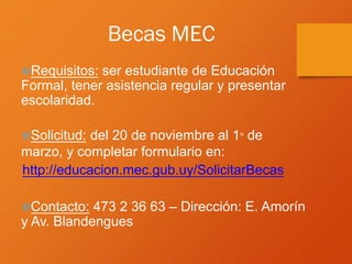 Becas MEC
Requisitos: ser estudiante de Educación
Formal, tener asistencia regular y presentar
escolaridad.
Solicitud: del 20 de noviembre al 1° de
marzo, y completar formulario en:
http://educacion.mec.gub.uy/SolicitarBecas
Contacto: 473 2 36 63 – Dirección: E. Amorín
y Av. Blandengues
 