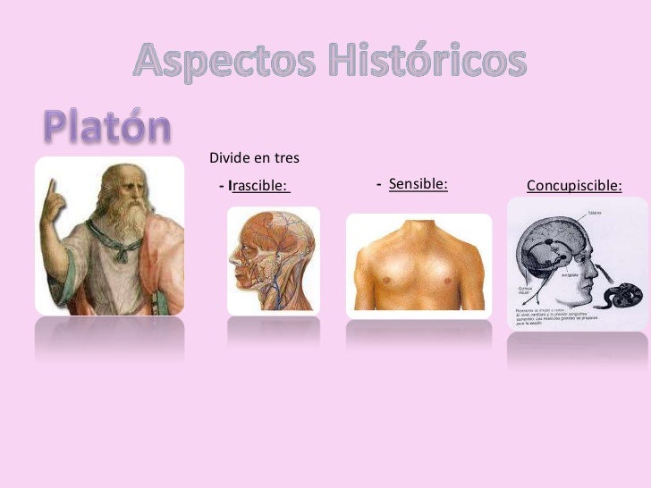 Construyendo el Concepto de Personalidad.