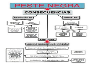 Los judíos  gozaron de la protección directa de los monarcas a cambio de servicios administrativos y financieros. Muchos de ellos se dedicaban al comercio y a los oficios artesanos. Destacaban también en medicina y como banqueros. Se asentaban en las ciudades donde residían en barrios propios denominados  juderías. 