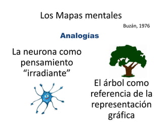 Los Mapas mentales 
Analogías 
La neurona como 
pensamiento 
“irradiante” 
Buzán, 1976 
El árbol como 
referencia de la 
representación 
gráfica 
 