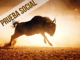 ¿Cómo hacer presentaciones excepcionales?