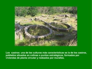 LA SOCIEDAD La sociedad estaba muy estratíficada. Los grupos se organizaban según el poder económico, político y militar. Por los hallazgos arqueológicos se conoce la existencia de un grupo social dominante, el de  los régulos,  con poder militar y económico y que se enterraban en ricas tumbas. Los guerreros debieron tener un puesto destacado. Eran muy importantes las relaciones de carácter personal como  la fides o devotio ibérica  (“ se entregan con tanta devoción  a aquellos que siguen  que no dudan en morir por ellos” (Estrabón)). La forma política era la monarquía. El poder del rey debía ser muy importante en ciertas zonas mientras que en otras (zona levantina) las actuaciones del rey estaban controladas por la aristocracia. 