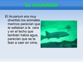 LO QUE VIMOS EN EL ACUARIUM FUE... Vimos un monton de especies marinas,como por ejemplo: rayas, peces de la suerte, estrellas de mar,salmonetes y... ¡HASTA TIBURONES! 