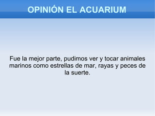 EL ACUARIUM El Acuarium era muy divertido los animales marinos parecían que te saltaban a la  cara y en el techo que también había agua, parecían que se te iban a caer en cima. 