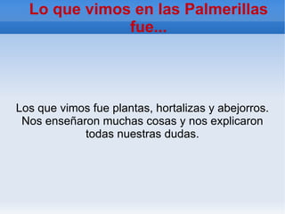 Las Palmerillas Esta es una foto en la que sale una planta de melones. Un hombre nos explicó como se cultivan y tratan estas plantas. 