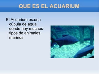 OPINIÓN LAS PALMERILLAS PALMERILLAS : Estuvo bien, pero hacía mucho calor y había un montón de abejorros, lo mejor fue que un hombre nos explicó el cultivo. 