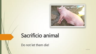 Sacrificio animal
Do not let them die!
6/29/2016
 