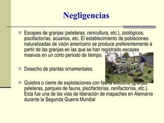 Negligencias Escapes de granjas (peleteras, ranicultura, etc.), zoológicos, piscifactorías, acuarios, etc. El establecimiento de poblaciones naturalizadas de visón americano se produce preferentemente a partir de las granjas en las que se han registrado escapes masivos en un corto periodo de tiempo. Desecho de plantas ornamentales. Quiebra o cierre de explotaciones con fauna alóctona (granjas peleteras, parques de fauna, piscifactorías, ranifactorías, etc.). Esta fue una de las vías de liberación de mapaches en Alemania durante la Segunda Guerra Mundial 