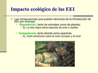 Impacto ecológico de las EEI Las consecuencias que pueden derivarse de la introducción de EEI son diversas: Depredación , tanto de animales como de plantas; Ej. La rata negra sobre especies de aves y reptiles Competencia , tanto directa como aparente; Ej. Visón americano sobre el visón europeo y el turón 