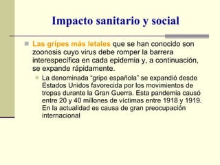 Impacto sanitario y social Las gripes más letales  que se han conocido son zoonosis cuyo virus debe romper la barrera interespecífica en cada epidemia y, a continuación, se expande rápidamente.  La denominada “gripe española” se expandió desde Estados Unidos favorecida por los movimientos de tropas durante la Gran Guerra. Esta pandemia causó entre 20 y 40 millones de víctimas entre 1918 y 1919. En la actualidad es causa de gran preocupación internacional 