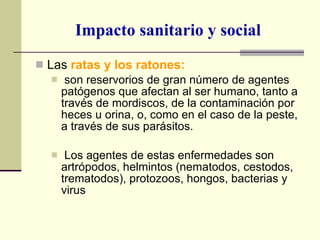 Impacto sanitario y social Las  ratas y los ratones: son reservorios de gran número de agentes patógenos que afectan al ser humano, tanto a través de mordiscos, de la contaminación por heces u orina, o, como en el caso de la peste, a través de sus parásitos. Los agentes de estas enfermedades son artrópodos, helmintos (nematodos, cestodos, trematodos), protozoos, hongos, bacterias y virus 