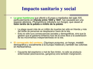 Impacto sanitario y social La gran hambruna  que afectó a Europa a mediados del siglo XIX, particularmente en  Irlanda entre 1845 y 1847 , fue causada por una especie alóctona,  Phytophthora infestans (un hongo),  que causó el  tizón tardío de la patata o mildiú de la patata : La plaga causó más de un millón de muertos tan sólo en Irlanda y más del doble de personas se desplazaron fuera de la isla.  Esto no sólo tuvo consecuencias sociales y demográficas, sino que la gestión que el gobierno británico hizo de la crisis llevó a la aceleración de los movimientos independentistas en la isla. El cornezuelo del centeno ,  Claviceps purpurea, un hongo,  modeló demográfica y socialmente a la Europa medieval y también las colonias en Norteamérica.  Causante del ergotismo o mal de San Antón, no sólo se producía enfermedad (alucinaciones, gangrena) sino también marginación. 
