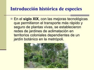En el  siglo XIX , con las mejoras tecnológicas que permitieron el transporte más rápido y seguro de plantas vivas, se establecieron redes de jardines de aclimatación en territorios coloniales dependientes de un jardín botánico en la metrópoli. Introducción histórica de especies 