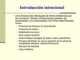 Introducción intencional Una introducción efectuada de forma deliberada por los humanos. (Estas introducciones pueden ser autorizadas y no autorizadas) Con fines determinados como: Producción de alimentos. Ej. Perca del Nilo Producción de madera. Estabilización de dunas. Caza y pesca recreativa. Control biológico de plagas. Ej. Sapos, cerdos, paseriformes. Procesos industriales. Ej. Uso en extracción sal en salinas de invertebrados alóctonos. ( Artemia franciscana ) Abandono de mascotas. Actos vandálicos. 